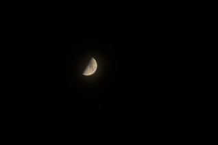 Half lit moon in dark sky