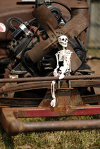 Decorative skeleton sitting on ratrod bumper